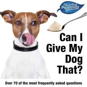 The most frequently asked "Can I give my dog this" questions